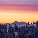 Rogla