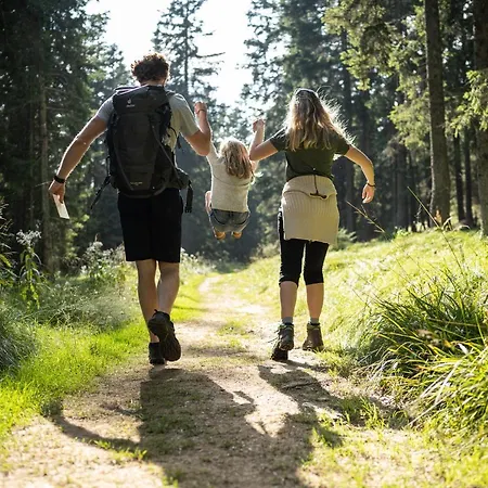 Rogla Апартаменты *