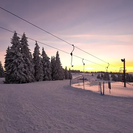 Διαμέρισμα Rogla