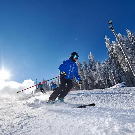 Rogla