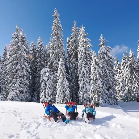 Διαμέρισμα Rogla