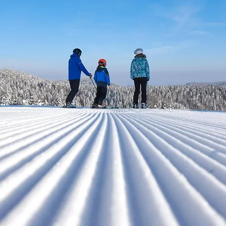 Διαμέρισμα Rogla *