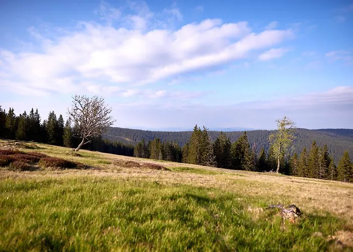 Rogla Διαμέρισμα