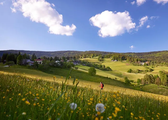 Διαμέρισμα Rogla