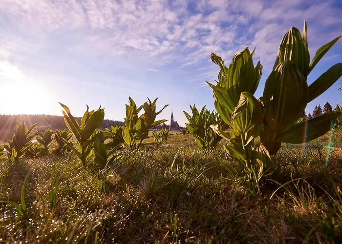 Rogla Apartment Zrece