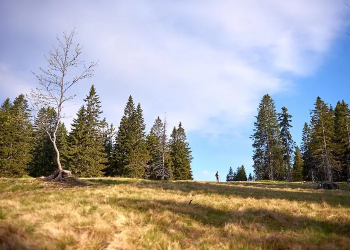 Rogla Apartment Zrece