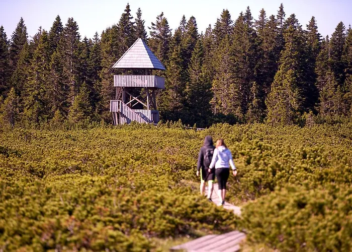 Rogla Διαμέρισμα