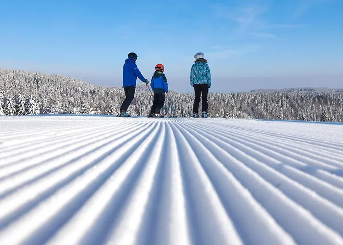 Διαμέρισμα Rogla *