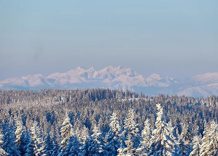 Apartment Rogla Zrece